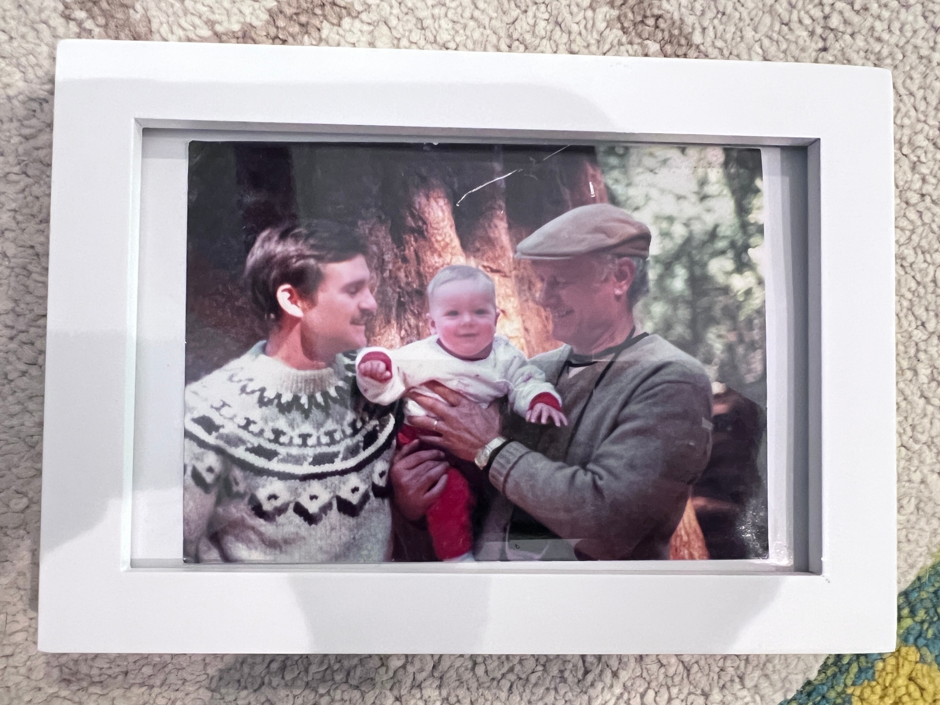 A vintage framed photograph of a father, son, and grandfather among the redwoods.